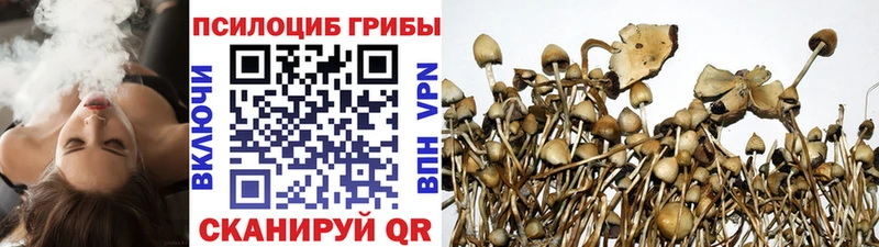Купить закладки  Бугуруслан  Галлюциногенные грибы Magic Shrooms 